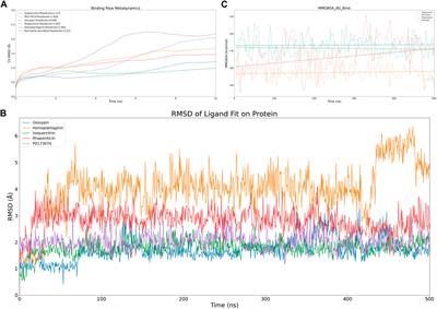 Active and machine learning-enhanced discovery of new FGFR3 inhibitor, Rhapontin, through virtual screening of receptor structures and anti-cancer activity assessment
